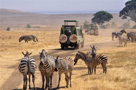 Scheduled Tours & Safaris - Safari Ventures