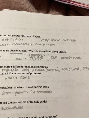 Biology final Flashcards | Quizlet