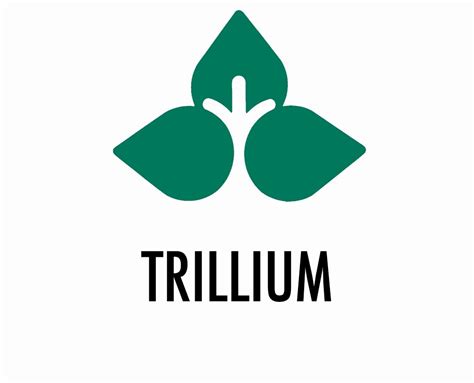 Trillium-Logo – Trillium Employment Services