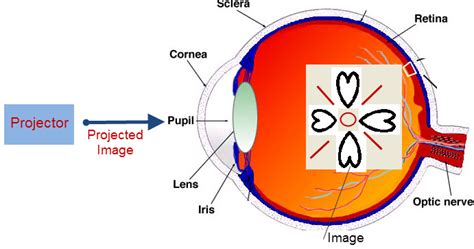 Emerging Technology: Screenless Display anf their Types