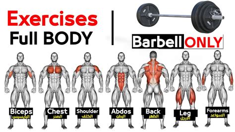 Barbell Full Body Workout Cheap Store, Save 50% | jlcatj.gob.mx