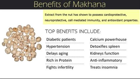 Top 10 Health Benefits of Makhana - Fox Nut, Phool Makhanas, Gorgon