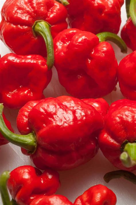 What are the Hottest Peppers in the World? 2023 List - Chili Pepper Madness