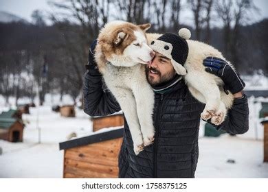 Brown Man Carrying Husky His Back Stock Photo 1758375125 | Shutterstock