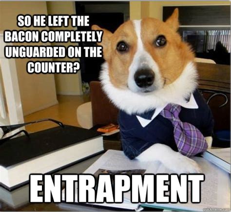 Top Five Lawyer Dog - Internet Meme | PetCareRx