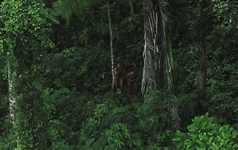 Uncontacted Amazon tribes endangered in Peru, Brazil -indigenous group ...