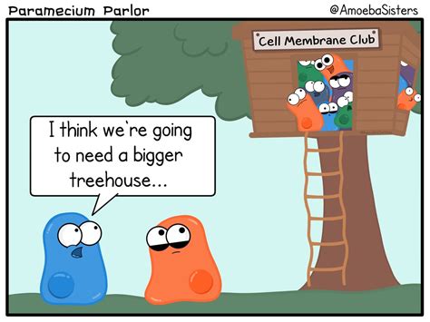 Paramecium Parlor Comics - SCIENCE WITH THE AMOEBA SISTERS