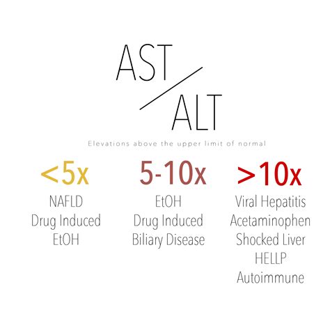 Liver Function Tests Decoded — Taming the SRU