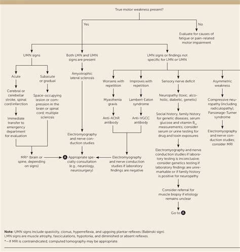 Figure 1 from Muscle Weakness in Adults: Evaluation and Differential ...