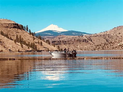 Fishing Lake Billy Chinook, Three Rivers Marina | Lake fishing, Lake, Three rivers