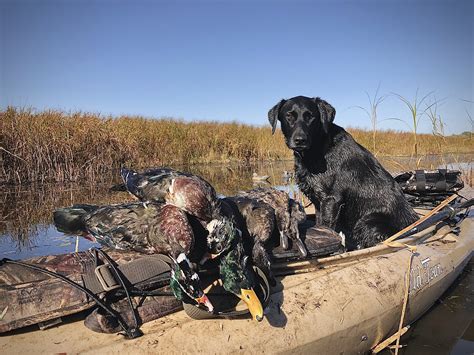 Duck Hunting from a Kayak | Outdoor Life