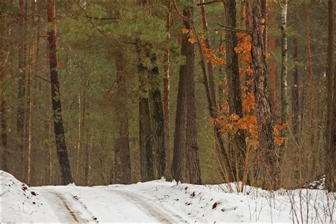 the last day of winter? - Site of nature