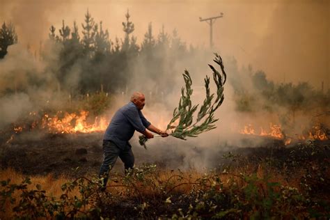 Chile Wildfires Spread as Death Toll Rises - Santiago Chronicle