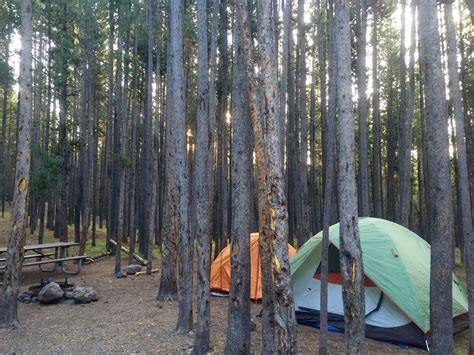 Canyon Campground - 13 Reviews - Campgrounds - Yellowstone National ...