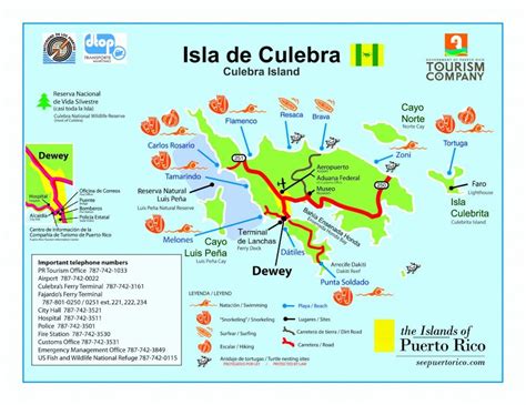 Beneath the Sea in Isla Culebra | Puerto Rico Tour Desk