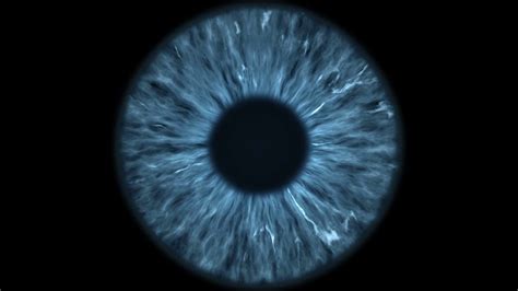 The Blue Eye Is Extreme Close-up Of Iris Stock Footage SBV-333869284 - Storyblocks