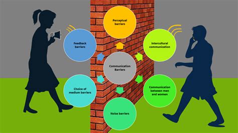 CB11100: Communication Barriers