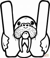 Letter W Is For Walrus coloring Page  Free Printable Coloring Pages sketch template
