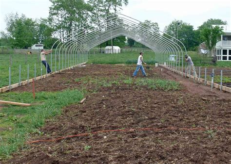 Whitmore Farm: HOOP house heaven! (or why cold greenhouses are COOL!)