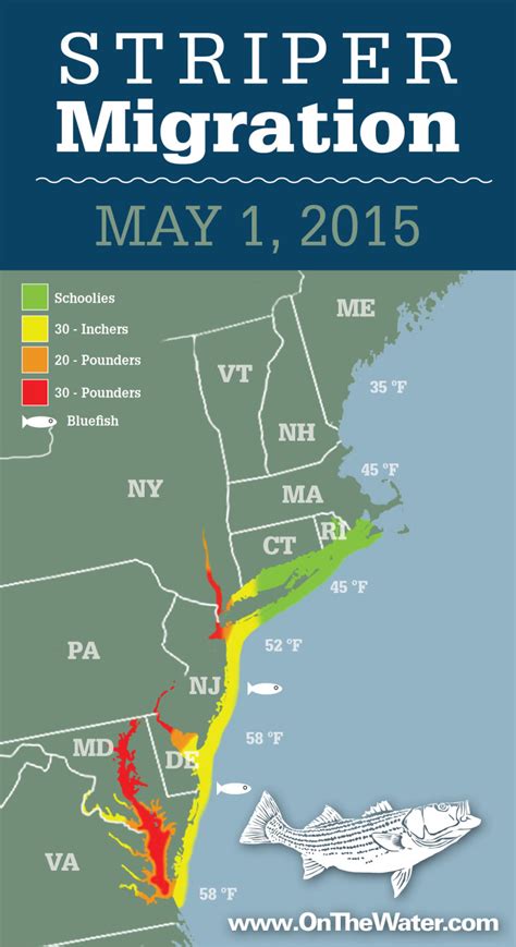 Striper Migration Map - May 1, 2015 - On The Water