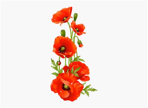 Free Poppy Flower Cliparts, Download Free Poppy Flower Cliparts png images, Free ClipArts on ...