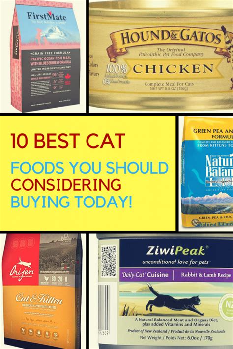 Top 10 Best Cat Foods Reviewed in 2019