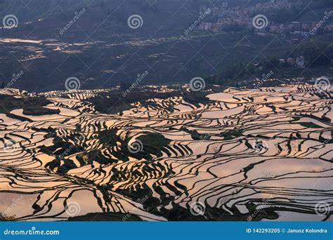 Yuanyang Rice Terraces during Sunrise with Great Orange Reflections ...