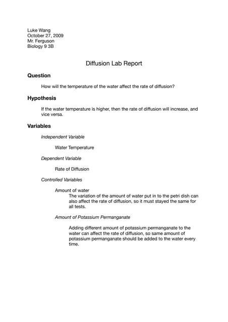 Diffusion lab report | PDF