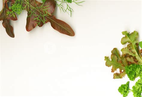 Background With Fresh Herbs Royalty-Free Stock Image - Storyblocks