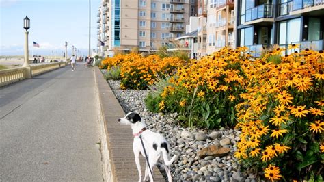 Seaside Oregon Boardwalk | Story Chasing