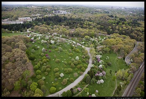 Photograph by Philip Greenspun: arnold-arboretum-4