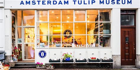 Tulip Museum in Amsterdam: history, exposition, opening hours, address, tickets