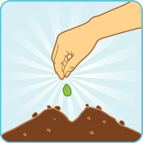 1,100+ Preparing Soil Illustrations, Royalty-Free Vector Graphics ...