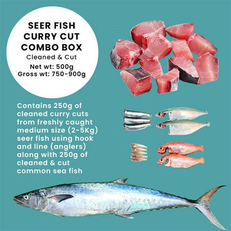 Seer Fish Curry Cut Combo Box – Tralexho Ecommerce Pvt. Ltd.