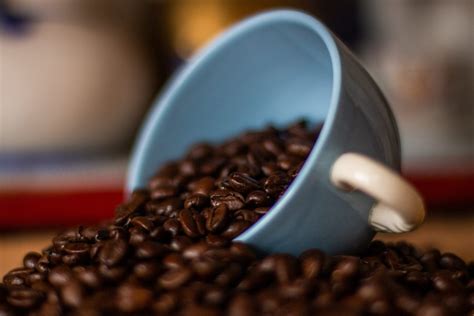 Ditch The Pods: Bean to cup coffee is better for the environment - Rocco Espresso