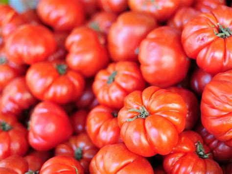 Planting Beefsteak Tomatoes: How To Grow Beefsteak Tomatoes