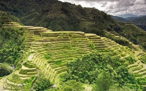 Banaue Rice Terraces | | Alluring World