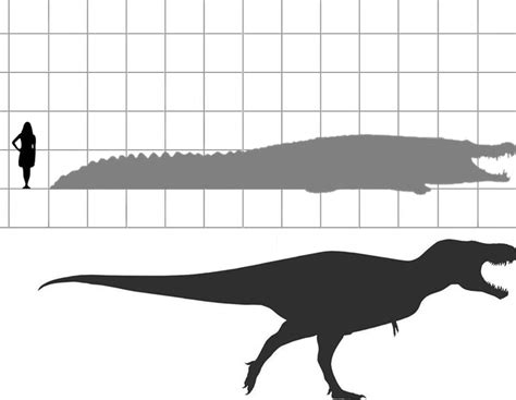 Size comparison between Deinosuchus Riograndensis and Tyrannosaurus Rex. They lived quite close ...