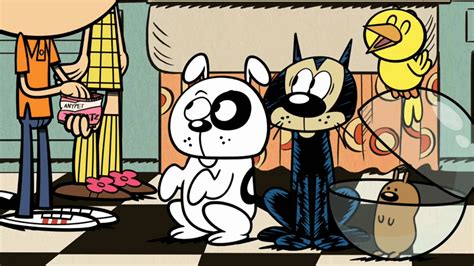 The Loud House Pets GIF by Nickelodeon - Find & Share on GIPHY