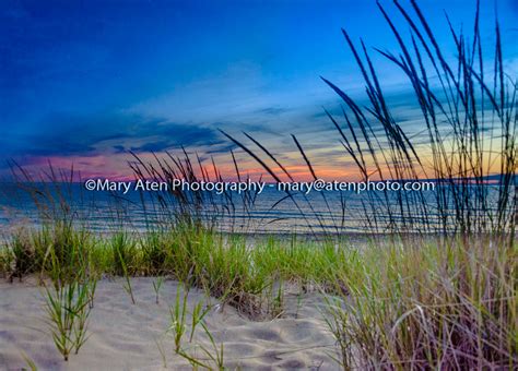 Photo of pastel sunset and beach grass - Mary Aten Photography