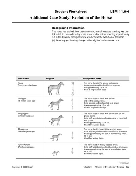 Horse Evolution Worksheet