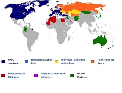 All Nato Countries 2024 - Lolly Rachele