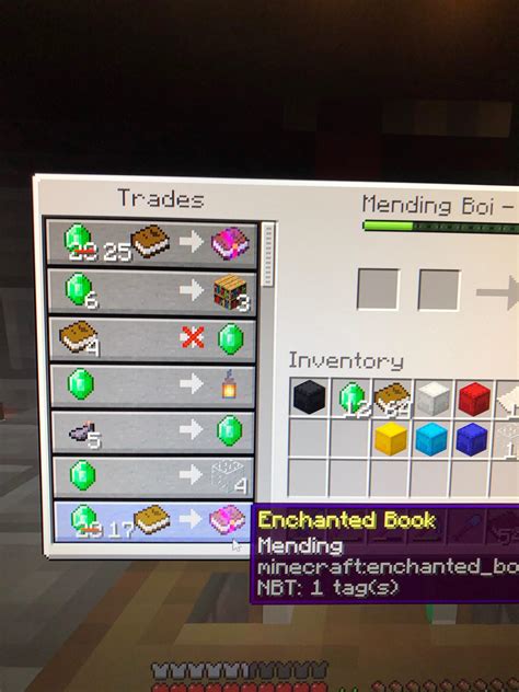 After grinding for a Mending villager I finally got one (top trade ...