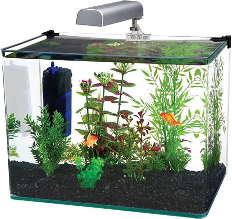 12 Best Rimless Fish Tanks: Which One is For You? | IBMK