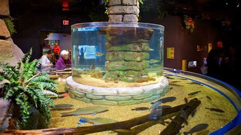 Greater Cleveland Aquarium, Cleveland Vacation Rentals: house rentals ...