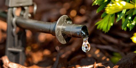 Drip Irrigation Installation | Design, Layout, Emitters and Kits