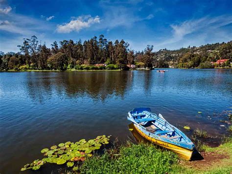 12 Awesome Things to do in Kodaikanal on your Next Trip - Treebo