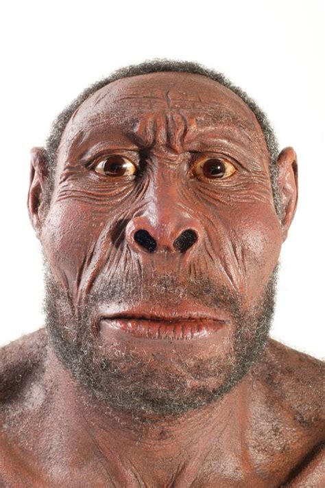 Homo erectus, first to use fire. | Ape-men and Proto-humans | Pinterest | Fire and Discus