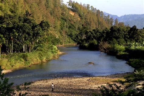 Air Bersih yang Begitu Dinanti Masyarakat Sekitar Gambut - Mongabay.co.id