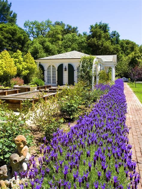 Lavender Gardens | Houzz